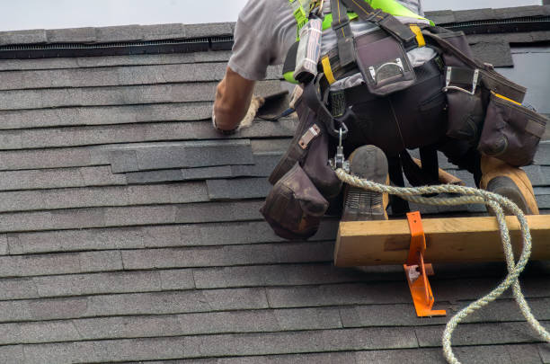 Best Storm Damage Roof Repair  in Alderwood Manor, WA